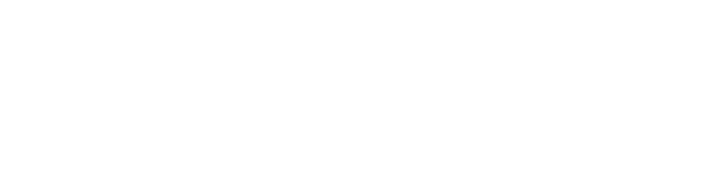 Elastotecnica